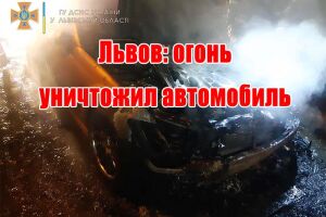 Львів: вогонь знищив автомобіль