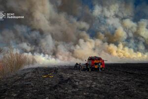 ❗️Львівщина: 189 пожеж в екосистемах за добу❗️