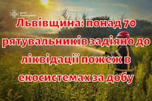 Львівщина: понад 70 рятувальників задіяно до ліквідації пожеж в екосистемах за добу