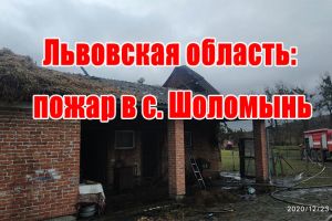 Львовская область: пожар в с. Шоломынь