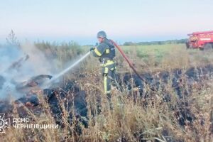 Масштабный торфяной пожар на Черниговщине: спасатели продолжают тушение ⚠️