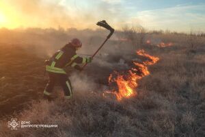 ❗️На Дніпропетровщині протягом доби ліквідовано 71 пожежу в екосистемах❗️