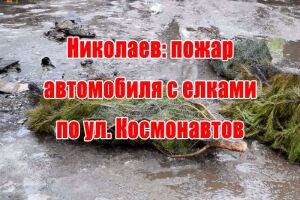 Миколаїв: пожежа автомобіля з ялинками на вул. Космонавтів