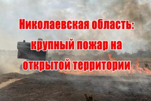 Миколаївська область: масштабна пожежа на відкритій території