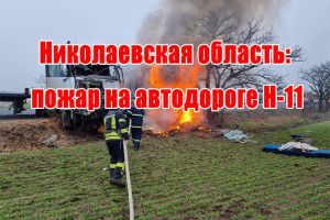 Николаевская область: пожар на автодороге Н-11