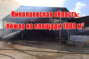 Миколаївська область: пожежа на площі 1000 м&sup2;