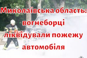 Николаевская область: пожарные ликвидировали пожар автомобиля