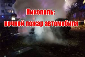 Нікополь: нічна пожежа автівки