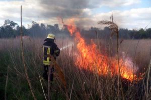 Пожарные ликвидировали масштабное возгорание в экосистеме в Днепропетровской области