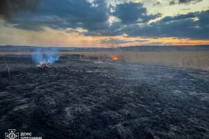 ❗️Одещина: паліїв покарано❗️