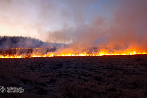 ❗️Одещина: рятувальники ліквідували пожежу на площі 2 га❗️