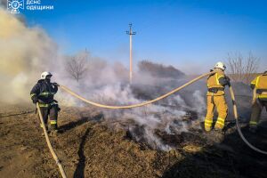 ❗️Одеса: екосистеми у вогні❗️