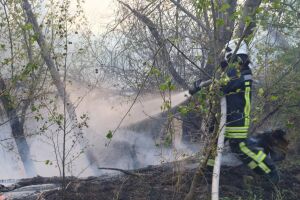 Пожар на Хортице: спасатели на вторые сутки борются с огнем