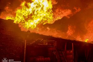 Пожар в мебельном цехе Винницкой области: огонь охватил 500 м&sup2;, пострадал