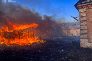 Небезпека сухостою: у Вишгородському районі вогонь знищив споруди через вітер