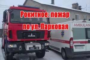 Рокитное: пожар по ул. Парковая