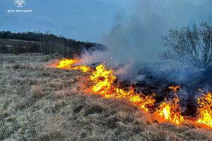 ❗️Рятувальники Черкащини ліквідовують масштабні пожежі на відкритих територіях❗️