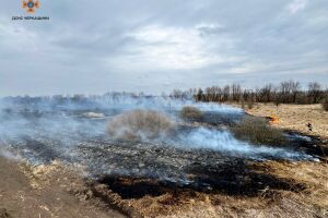 ❗️Рятувальники Черкащини продовжують боротись з пожежами на відкритих територіях❗️