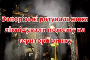 Рятувальники Житомирщини запобігли знищенню приватного житла внаслідок пожежі