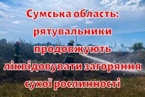 Сумська область: рятувальники продовжують ліквідовувати загоряння сухої рослинності