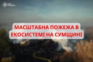Сумська область: рятувальники приборкують масштабну пожежу в природних екосистемах