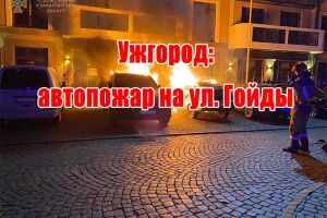 Ужгород: автопожежа на вул. Гойди