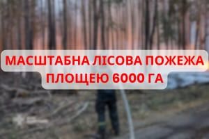 На Донеччині ліквідовано масштабну лісову пожежу на території НПП &laquo;Святі гори&raquo;