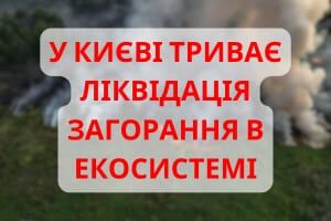 У Києві триває ліквідація загорання в екосистемі Дарницького району