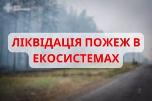 На Київщині, Донеччині та Харківщині триває ліквідація пожеж в екосистемах