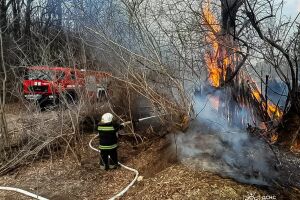 ❗️На Вінниччині рятувальники ліквідували 29 пожеж в природних екосистемах❗️