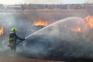 ❗️У Запоріжжі рятувальники ліквідували масштабну пожежу на відкритій території❗️