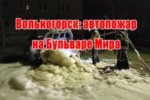Вольногорск: автопожар на Бульваре Мира