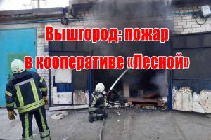 Вишгород: пожежа у кооперативі &laquo;Лісний&raquo;