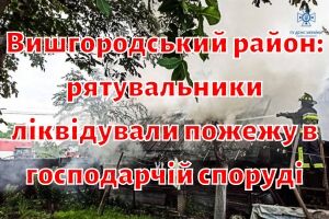 Вышгородский район: спасатели ликвидировали пожар в хозяйственном здании