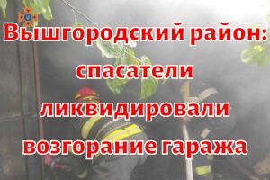 Вышгородский район: спасатели ликвидировали возгорание гаража