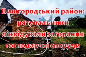 Вышгородский район: спасатели ликвидировали возгорание хозяйственной постройки