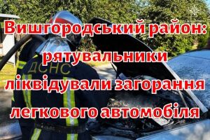 Вишгородський район: рятувальники ліквідували загорання легкового автомобіля
