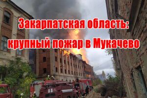 Закарпатська область: масштабна пожежа в Мукачеві