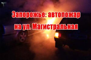 Запоріжжя: автопожежа на вул. Магістральна
