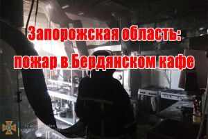 Запорізька область: пожежа у кафе Бердянська