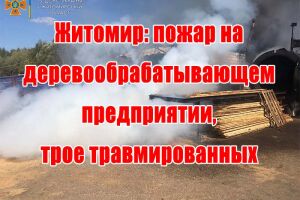 Житомир: пожежа на деревообробному підприємстві, троє травмованих