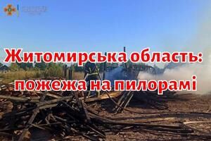 Житомирська область: пожежа на пилорамі
