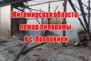 Житомирская область: пожар пилорамы в с. Яроповичи