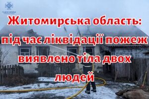 Житомирська область: під час ліквідації пожеж виявлено тіла двох людей