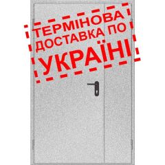 Двери противопожарные металлические глухие ДМП ЕІ30-2-2100х1300 лев., ЕвроСтандарт фото 1