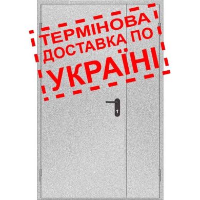 Двери противопожарные металлические глухие ДМП ЕІ30-2-2100х1300 лев., ЕвроСтандарт фото 1