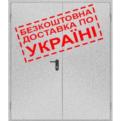 Двері протипожежні металеві глухі ДМП ЕІ60-2-2100x1400 лів., ЄвроСтандарт фото 2