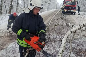 Ликвидация последствий непогоды в Винницкой области: спасатели 14 раз выезжали на расчистку дорог