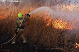 Масштабні пожежі сухостою на Миколаївщині: ДСНС ліквідувала загрозу для житлового сектору