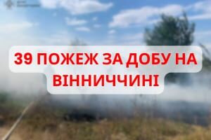 На Вінниччині за добу ліквідовано 39 пожеж у природних екосистемах